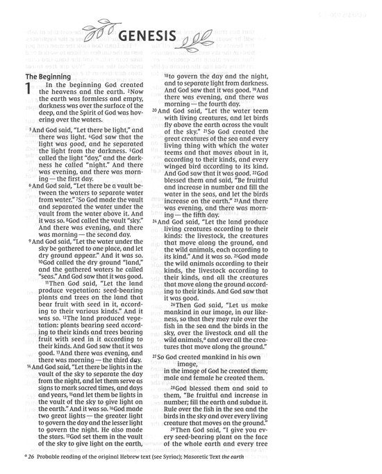 NIV, Artisan Collection Bible, Leathersoft, Multi-color/Cream, Red Letter, Comfort Print - Imagen 4