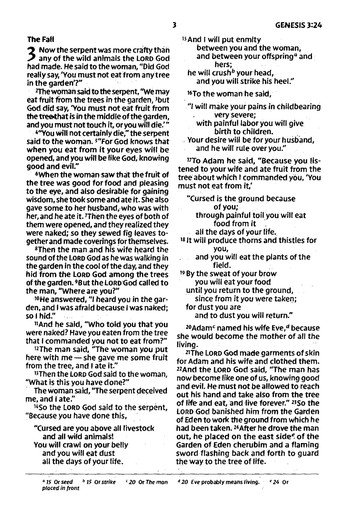 NIV, Holy Bible, Compact, Paperback, Multi-Color, Comfort Print - Imagen 5