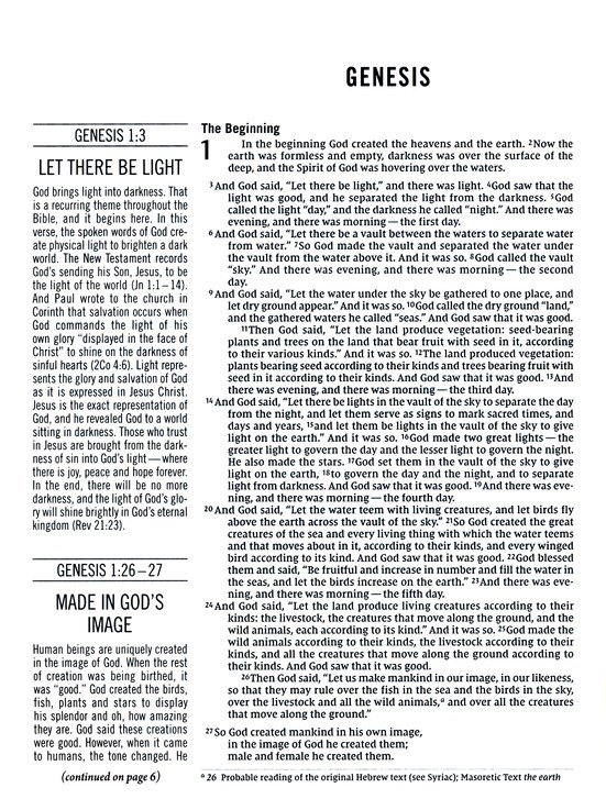 The Jesus Bible Artist Edition, NIV, Genuine Leather, Calfskin, Green, Limited Edition, Comfort Print - Imagen 4