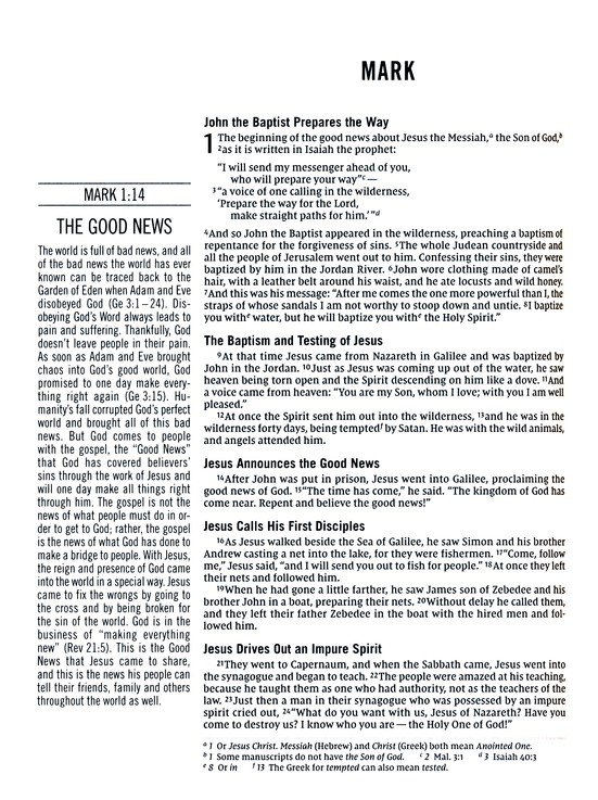 The Jesus Bible Artist Edition, NIV, Genuine Leather, Calfskin, Green, Limited Edition, Comfort Print - Imagen 7