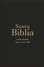 Biblia RVR 1960 Letra Grande - Tamaño Manual - Negro Vinilo