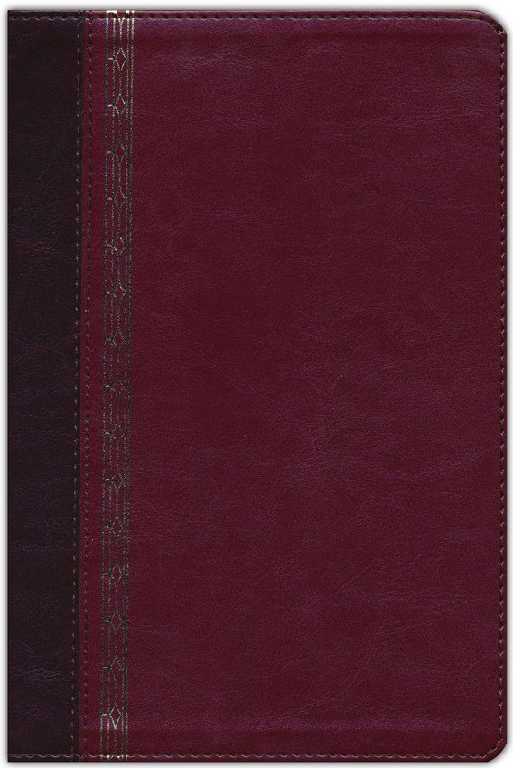 NRSVCE, Great Quotes Catholic Bible, Leathersoft, Burgundy, Comfort Print : Holy Bible - Imagen 3