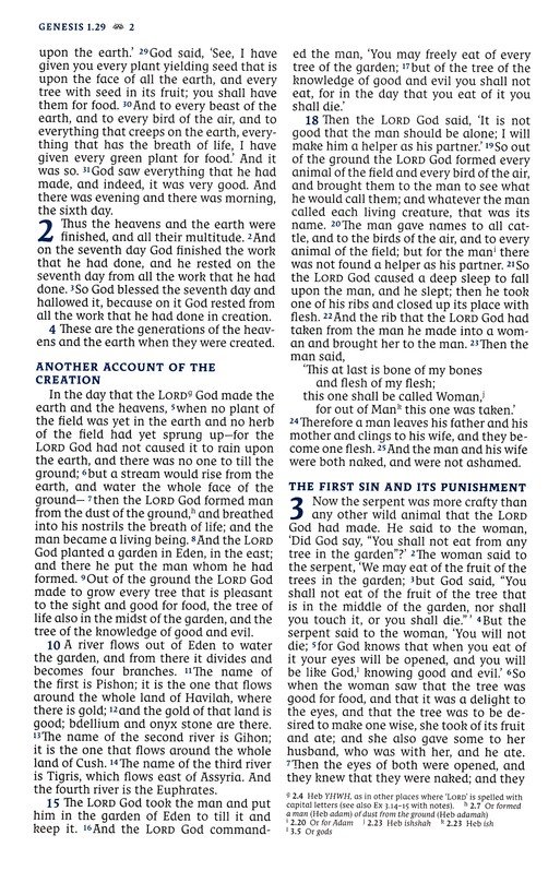 NRSVCE, Great Quotes Catholic Bible, Leathersoft, Burgundy, Comfort Print : Holy Bible - Imagen 5