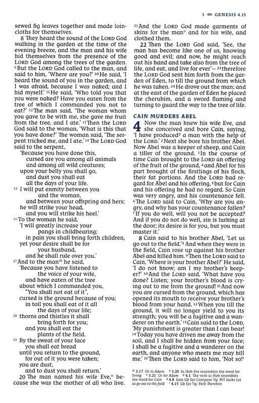 NRSVCE, Great Quotes Catholic Bible, Leathersoft, Burgundy, Comfort Print : Holy Bible - Imagen 6