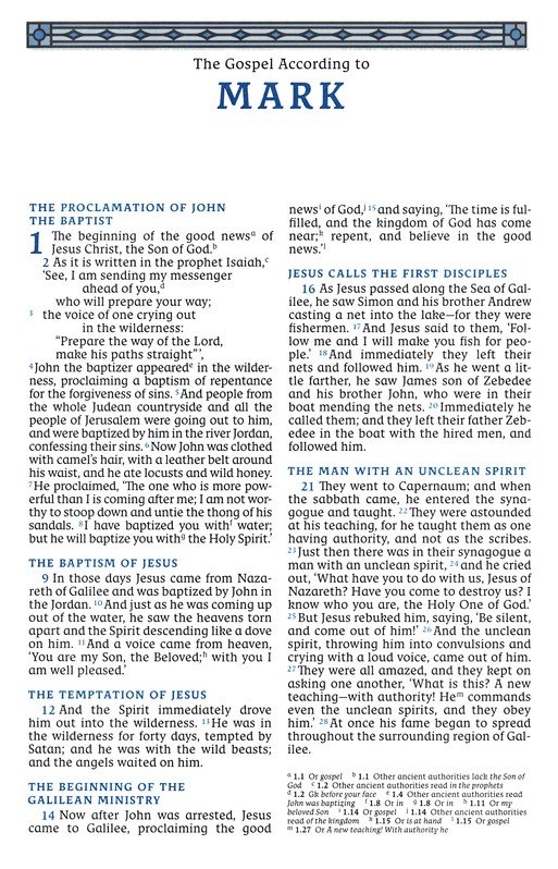 NRSVCE, Great Quotes Catholic Bible, Leathersoft, Burgundy, Comfort Print : Holy Bible - Imagen 7