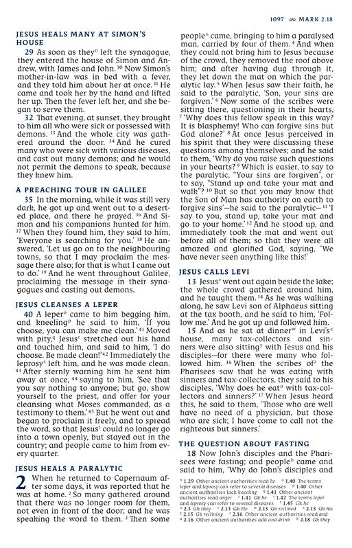 NRSVCE, Great Quotes Catholic Bible, Leathersoft, Burgundy, Comfort Print : Holy Bible - Imagen 8