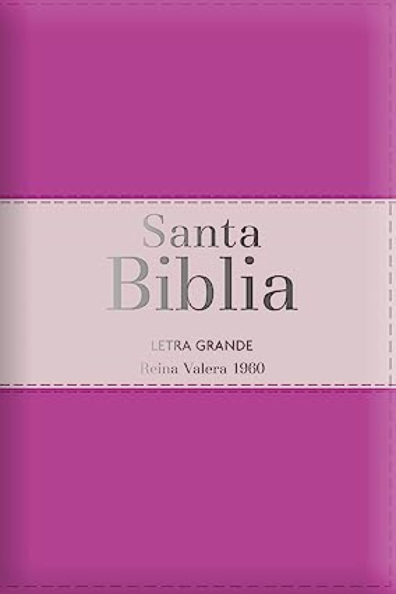 Biblia RV 1960 Letra Grande Tamaño Manual -Tricolor Fucsia/Rosa/Fucsia - Cierre E Índice