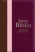 Biblia RVR 1960 Letra Grande - Tamaño Manual - Tricolor: Guinda/Palo Rosa/Marrón Con Indice Y Cierre
