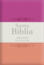 Biblia RVR 1960 Letra Grande - Tamaño Manual / Tricolor: Guinda/Crema/Melón Con Indice Y Cierre