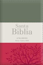 Biblia RVR 1960 Letra Grande - Tamaño Manual / Tricolor: Gris/Crema/Rojo Con Indice Y Cierre
