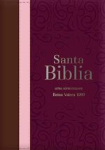 Biblia RVR 1960 Letra Súper Gigante - Tricolor: Guinda/Palorosa/Marrón Con Índice Y Cierre