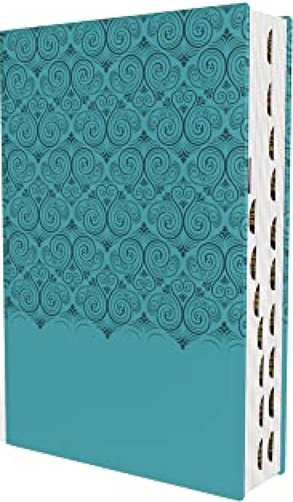 NIV, Super Giant Print Reference Bible, Leathersoft, Teal, Red Letter, Thumb Indexed, Comfort Print