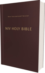 NIV, Holy Bible, Compact, Paperback, Burgundy, Comfort Print