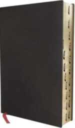 ESV, Thompson Chain-Reference Bible, Bonded Leather, Black, Red Letter, Thumb Indexed