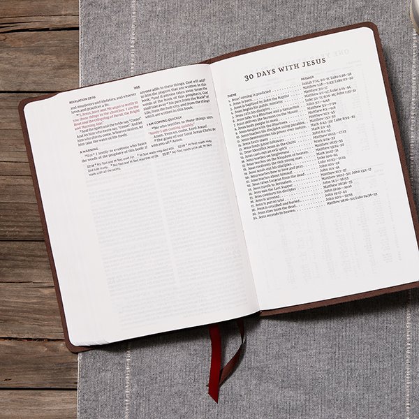 NKJV, Thinline Bible, Verse Art Cover Collection, Genuine Leather, Brown, Red Letter, Comfort Print - Imagen 12