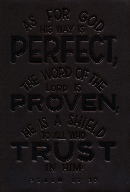 NKJV, Thinline Bible, Verse Art Cover Collection, Genuine Leather, Brown, Red Letter, Comfort Print - Imagen 3