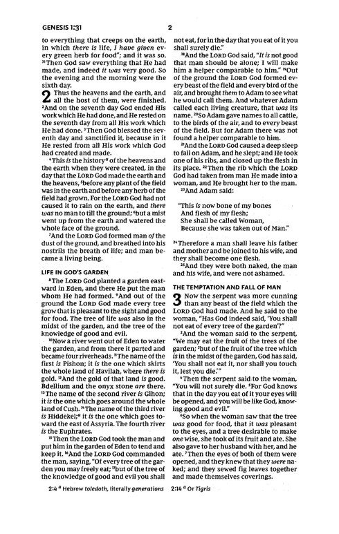 NKJV, Thinline Youth Edition Bible, Verse Art Cover Collection, Leathersoft, Green, Red Letter, Comfort Print - Imagen 5