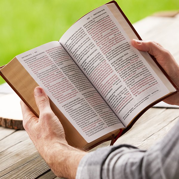 NKJV, Personal Size Large Print End-of-Verse Reference Bible, Verse Art Cover Collection, Leathersoft, Brown, Red Letter, Comfort Print - Imagen 12