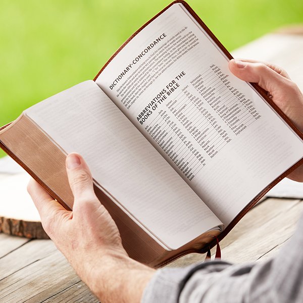 NKJV, Personal Size Reference Bible, Verse Art Cover Collection, Leathersoft, Tan, Red Letter, Thumb Indexed, Comfort Print - Imagen 13