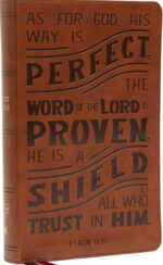NKJV, Personal Size Reference Bible, Verse Art Cover Collection, Leathersoft, Tan, Red Letter, Thumb Indexed, Comfort Print