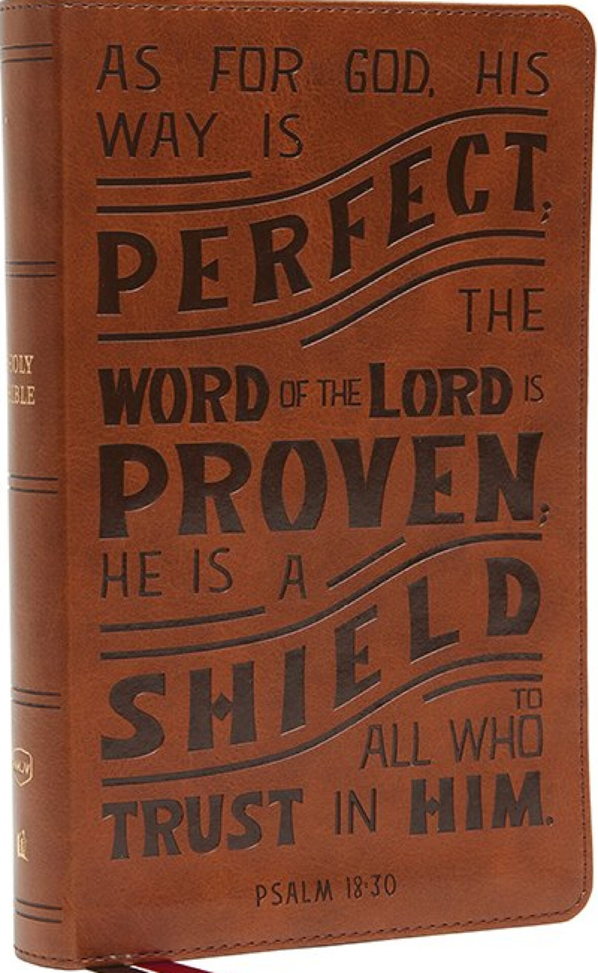 NKJV, Personal Size Reference Bible, Verse Art Cover Collection, Leathersoft, Tan, Red Letter, Thumb Indexed, Comfort Print