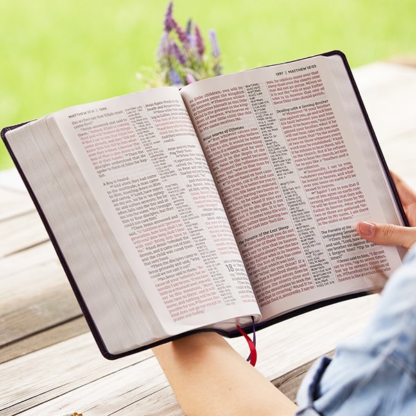 NKJV, Giant Print Center-Column Reference Bible, Verse Art Cover Collection, Leathersoft, Purple, Red Letter, Comfort Print - Imagen 12