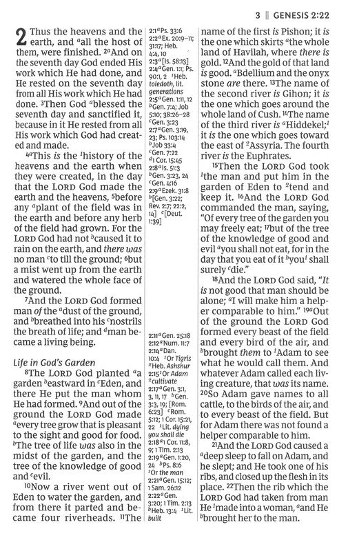 NKJV, Giant Print Center-Column Reference Bible, Verse Art Cover Collection, Genuine Leather, Brown, Red Letter, Comfort Print - Imagen 6