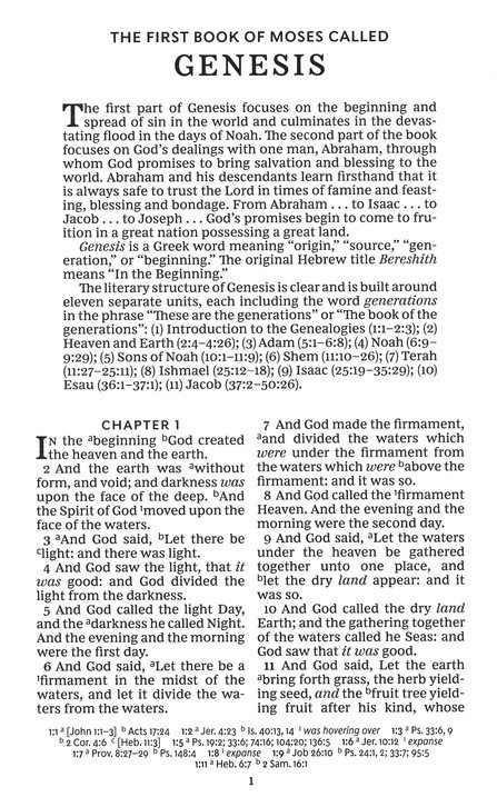 KJV, Personal Size Reference Bible, Verse Art Cover Collection, Leathersoft, Blue, Red Letter, Thumb Indexed, Comfort Print - Imagen 3