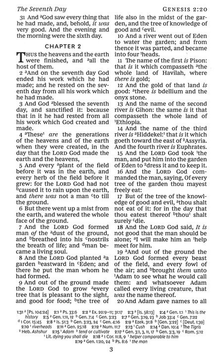 KJV, Personal Size Reference Bible, Verse Art Cover Collection, Leathersoft, Blue, Red Letter, Thumb Indexed, Comfort Print - Imagen 5