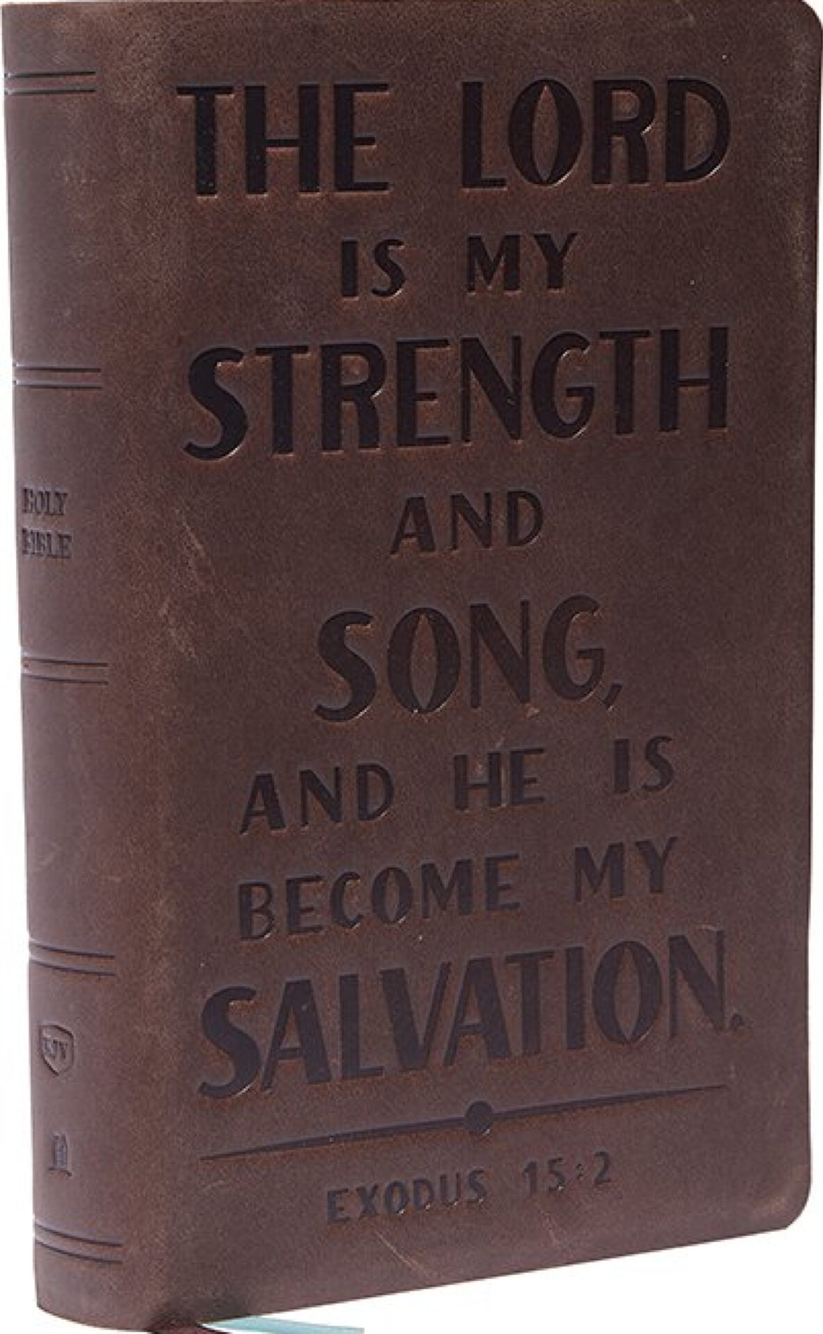 KJV, Personal Size Reference Bible, Verse Art Cover Collection, Genuine Leather, Brown, Red Letter, Thumb Indexed, Comfort Print