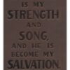 KJV, Personal Size Reference Bible, Verse Art Cover Collection, Genuine Leather, Brown, Red Letter, Thumb Indexed, Comfort Print - Imagen 3
