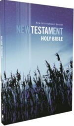 NIV, Outreach New Testament, Large Print, Paperback, Case of 50