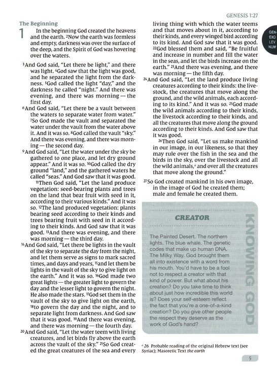 Rooted: The NIV Bible for Men, Leathersoft, Green, Thumb Indexed, Comfort Print - Imagen 5