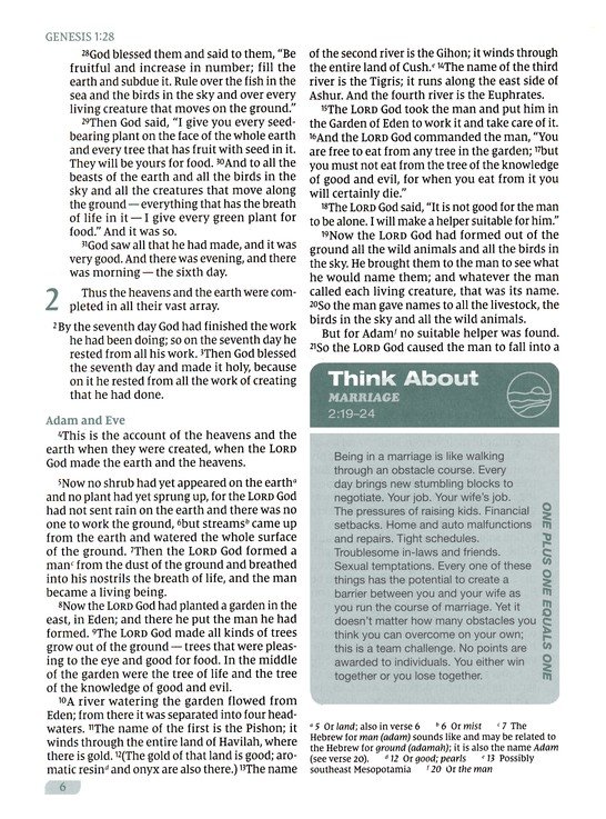 Rooted: The NIV Bible for Men, Leathersoft, Green, Thumb Indexed, Comfort Print - Imagen 6