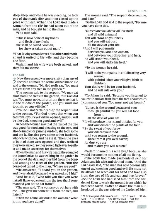 Rooted: The NIV Bible for Men, Leathersoft, Green, Thumb Indexed, Comfort Print - Imagen 7