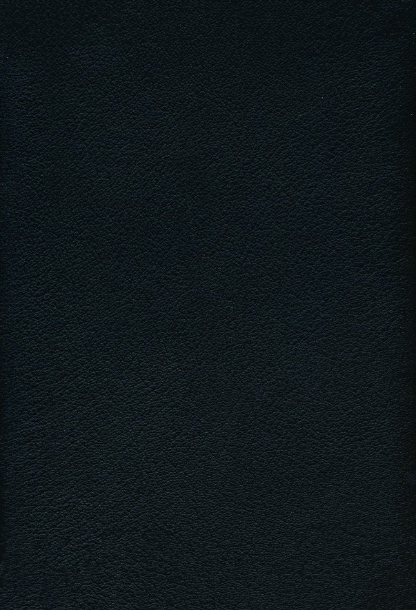 NKJV, Thompson Chain-Reference Bible, Premium Goatskin Leather, Black, Premier Collection, Black Letter, Art Gilded Edges, Comfort Print - Imagen 3