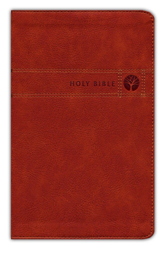 NIV, Men's Devotional Bible (By Men, for Men), Leathersoft, Brown, Comfort Print - Imagen 3