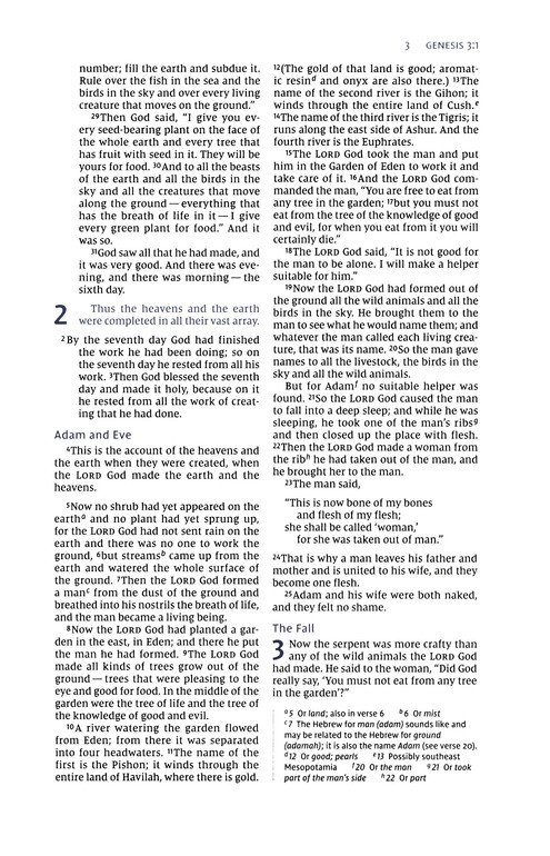 NIV, Men's Devotional Bible (By Men, for Men), Leathersoft, Brown, Comfort Print - Imagen 5