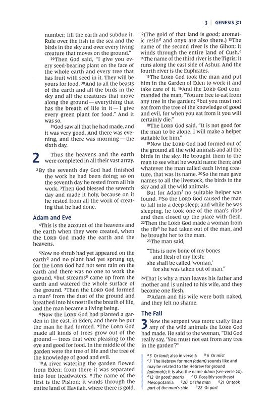 NIV, Women's Devotional Bible (By Women, for Women), Large Print, Leathersoft, Teal, Comfort Print - Imagen 5
