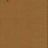 NIV, Student Bible, Personal Size, Leathersoft, Tan, Comfort Print - Imagen 3