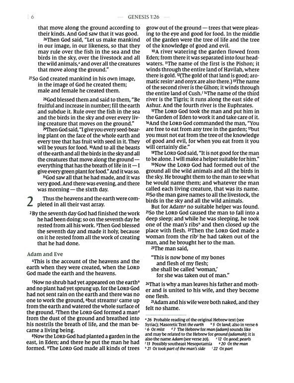 Flourish: The NIV Bible for Women, Leathersoft, Brown, Thumb Indexed, Comfort Print - Imagen 5