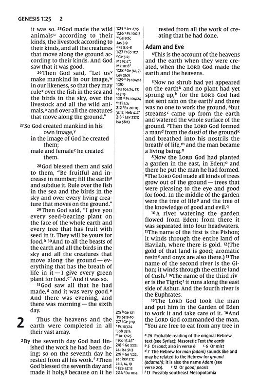 NIV, Thinline Reference Bible (Your Portable Reference Bible), Large Print, Leathersoft, Brown, Red Letter, Comfort Print - Imagen 5