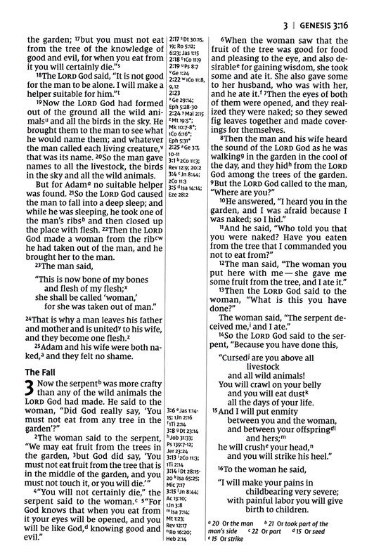 NIV, Thinline Reference Bible (Your Portable Reference Bible), Large Print, Leathersoft, Brown, Red Letter, Comfort Print - Imagen 6