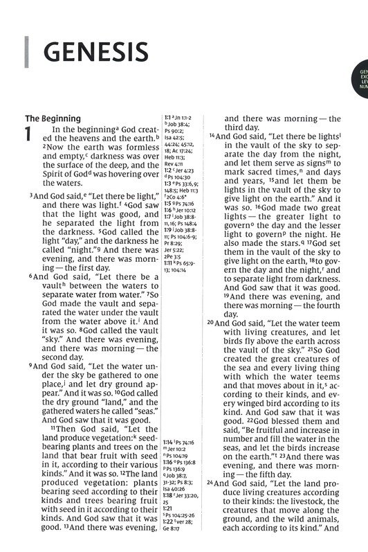 NIV, Thinline Reference Bible (Your Portable Reference Bible), Large Print, Leathersoft, Brown, Red Letter, Thumb Indexed, Comfort Print - Imagen 4