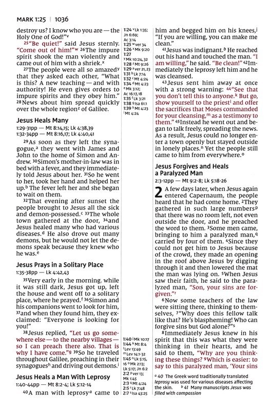 NIV, Thinline Reference Bible (Your Portable Reference Bible), Large Print, Leathersoft, Brown, Red Letter, Thumb Indexed, Comfort Print - Imagen 8