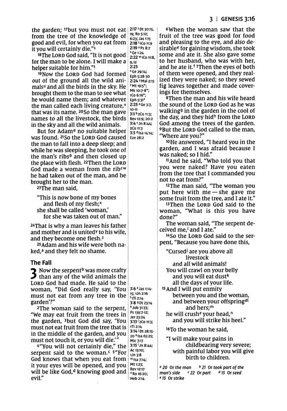 NIV, Thinline Reference Bible (Your Portable Reference Bible), Large Print, Leathersoft, Teal, Red Letter, Thumb Indexed, Comfort Print - Imagen 6