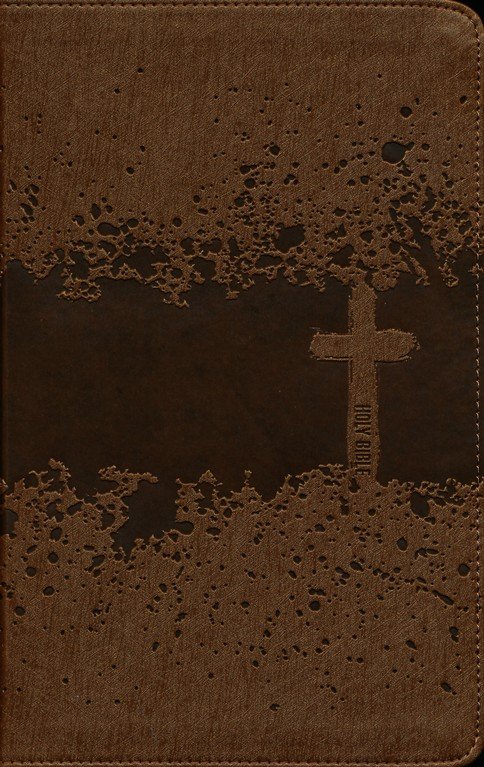 NIV, Kids' Visual Study Bible, Leathersoft, Bronze, Full Color Interior, Peel/Stick Bible Tabs : Explore the Story of the Bible---People, Places, and History - Imagen 3