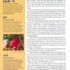 NIV, Kids' Visual Study Bible, Leathersoft, Bronze, Full Color Interior, Peel/Stick Bible Tabs : Explore the Story of the Bible---People, Places, and History - Imagen 6