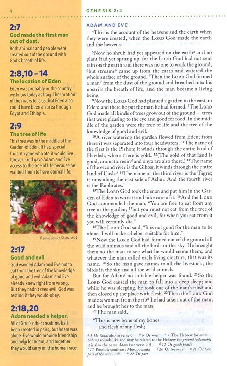 NIV, Kids' Visual Study Bible, Leathersoft, Bronze, Full Color Interior, Peel/Stick Bible Tabs : Explore the Story of the Bible---People, Places, and History - Imagen 6