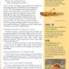 NIV, Kids' Visual Study Bible, Leathersoft, Bronze, Full Color Interior, Peel/Stick Bible Tabs : Explore the Story of the Bible---People, Places, and History - Imagen 7